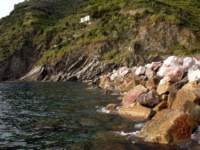 vernazza28_small.jpg