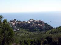 vernazza5_small.jpg